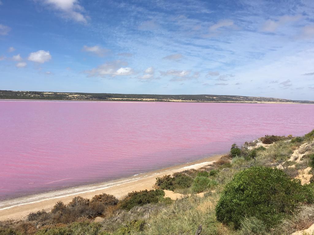 Port Gregory Caravan Park Eksteriør bilde